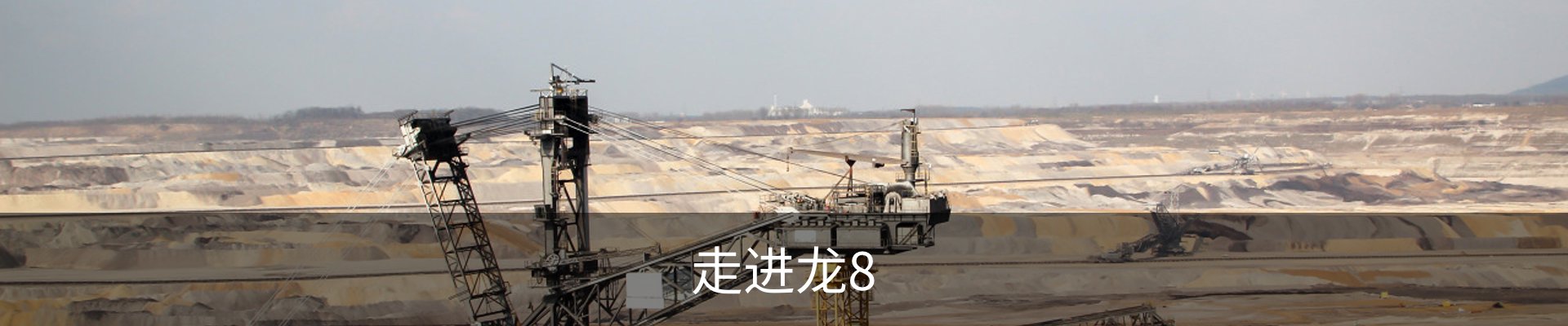 走进龙8